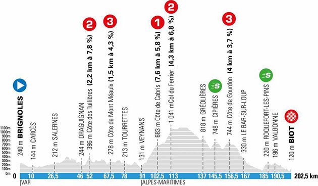 Stage 6 profile